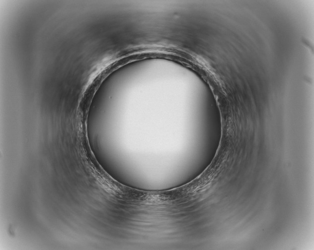 X0000098111360200804181440