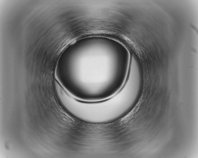 X0000098111361200804181440