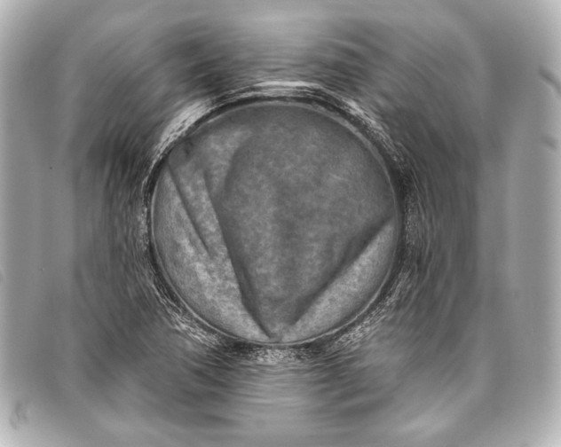 X0000098111362200804181440