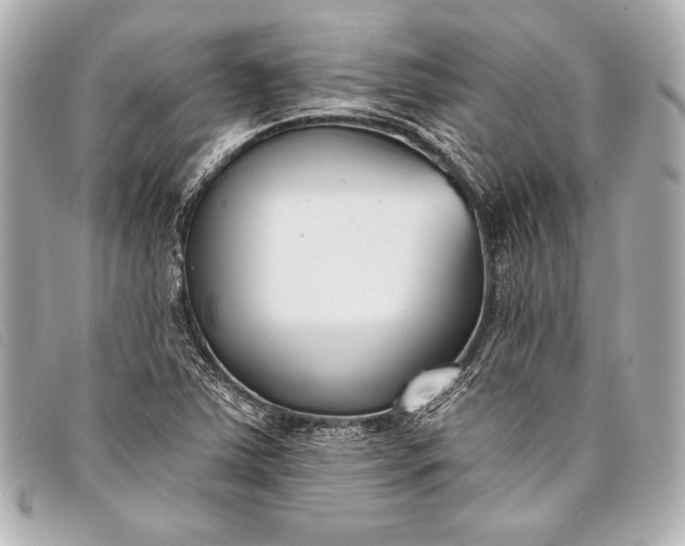 X0000098111363200804181440