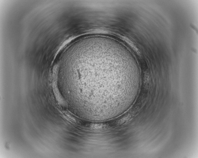 X0000098111364200804181440