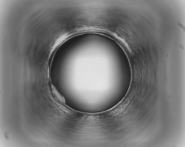 X0000098111365200804181440
