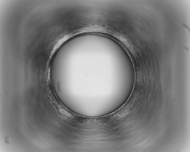 X0000098111366200804181440
