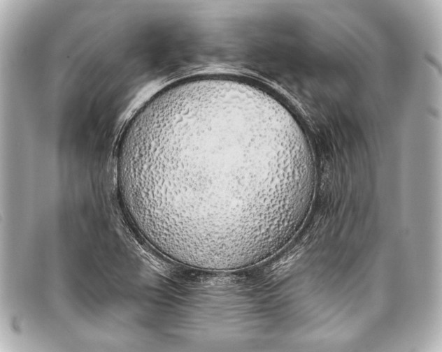 X0000098111367200804181440