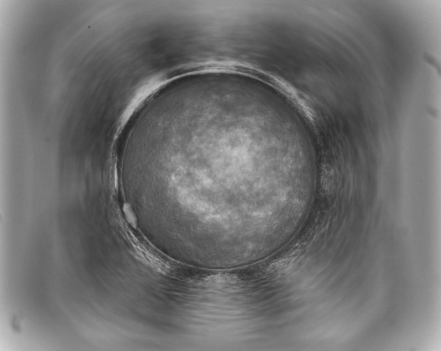X0000098111368200804181440