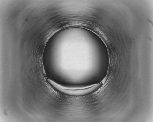 X0000098111369200804181440