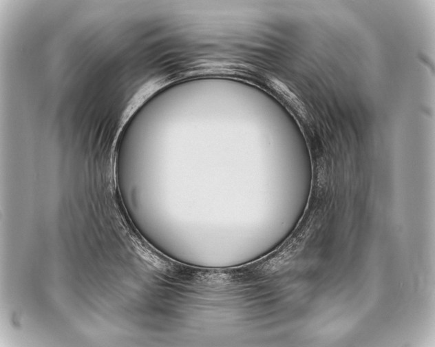 X0000098111370200804181440