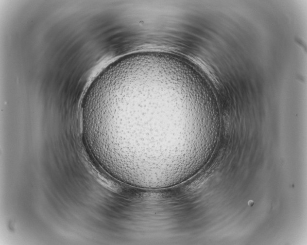 X0000098111371200804181440