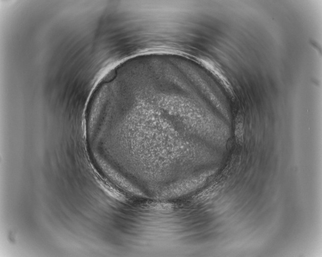 X0000098111372200804181440