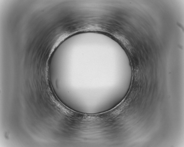X0000098111374200804181440