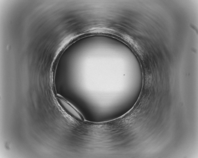 X0000098111376200804181440