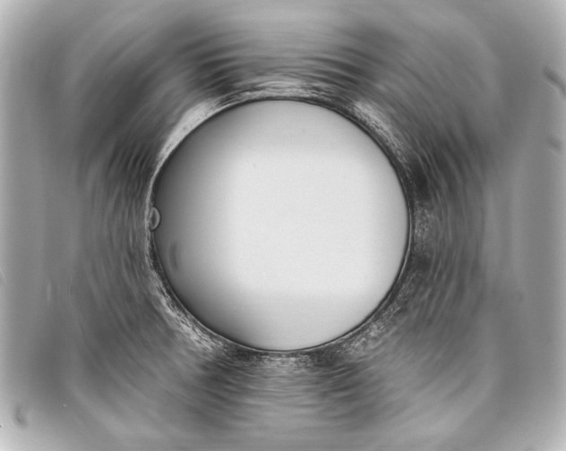 X0000098111378200804181440