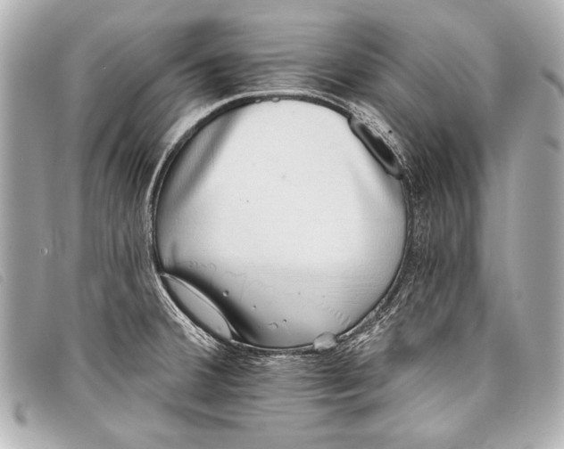 X0000098111380200804181440