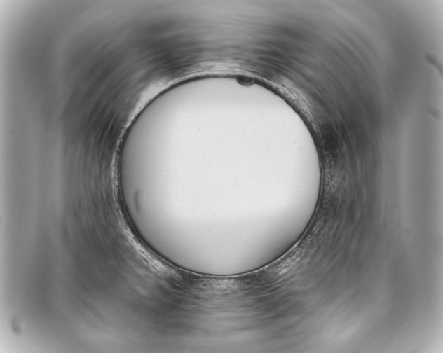 X0000098111382200804181440