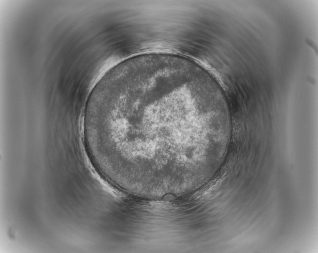 X0000098111383200804181440