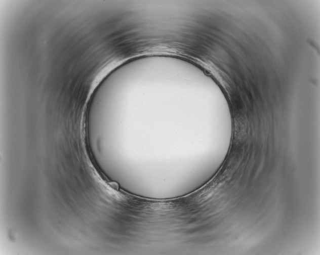 X0000098111387200804181440
