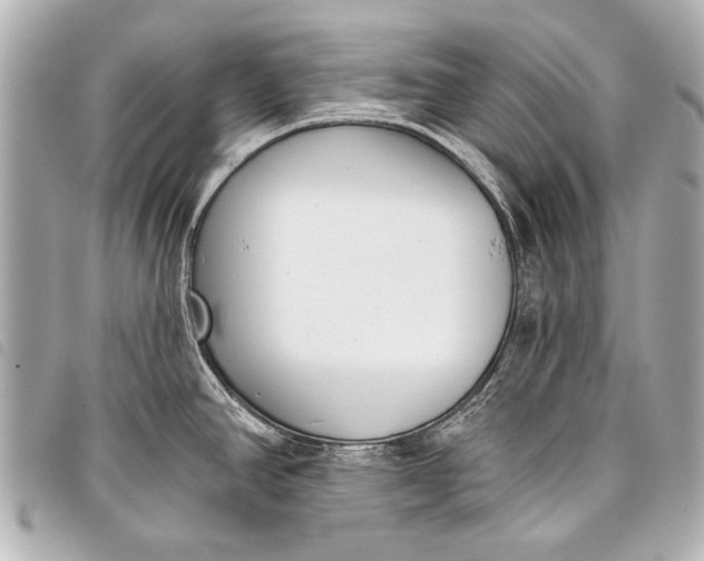 X0000098111390200804181440