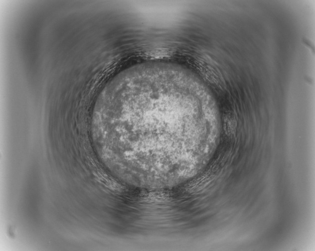 X0000098111393200804181439