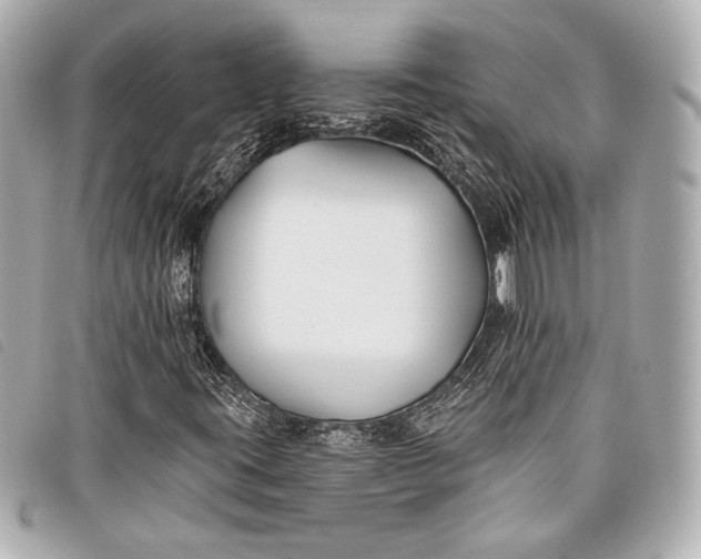 X0000098111395200804181439