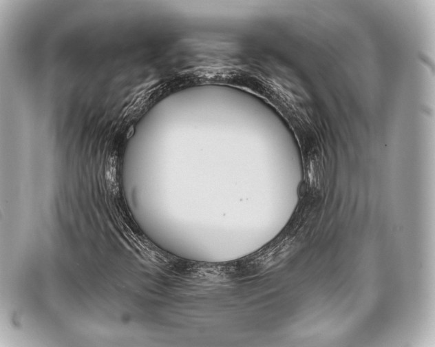 X0000098111396200804181439