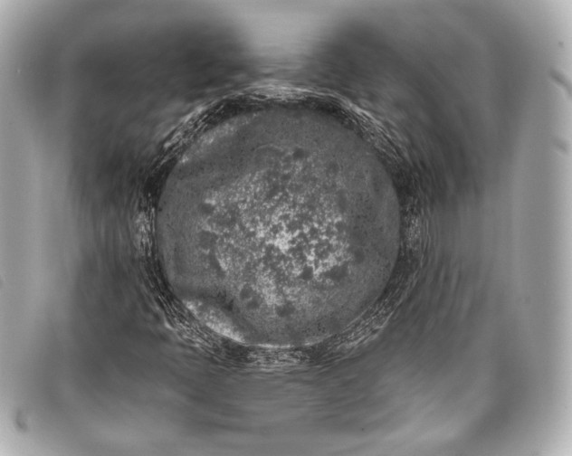 X0000098111397200804181439