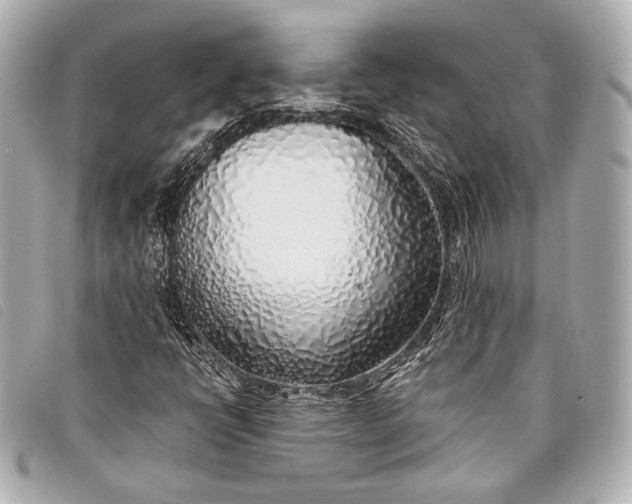X0000098111398200804181439