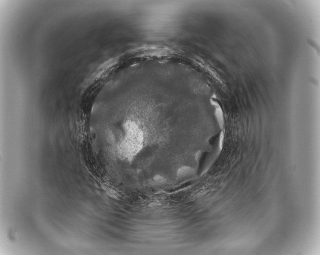 X0000098111399200804181439