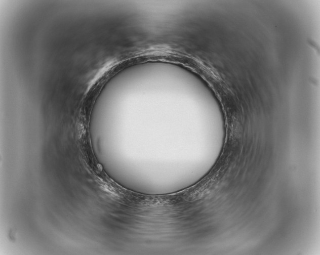 X0000098111400200804181439