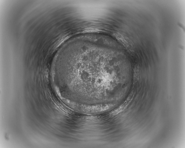 X0000098111401200804181439