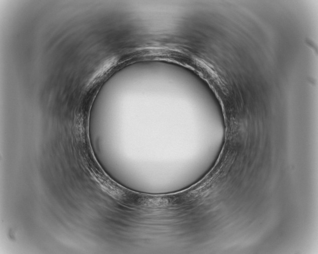 X0000098111403200804181439