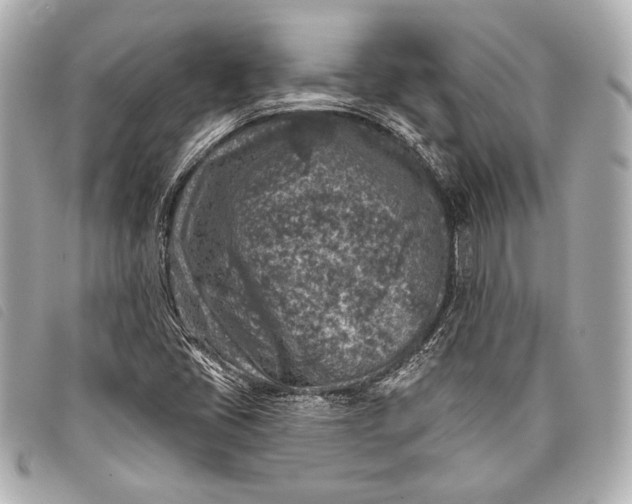X0000098111405200804181439