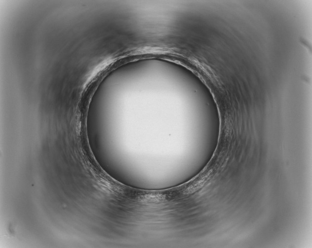 X0000098111406200804181439