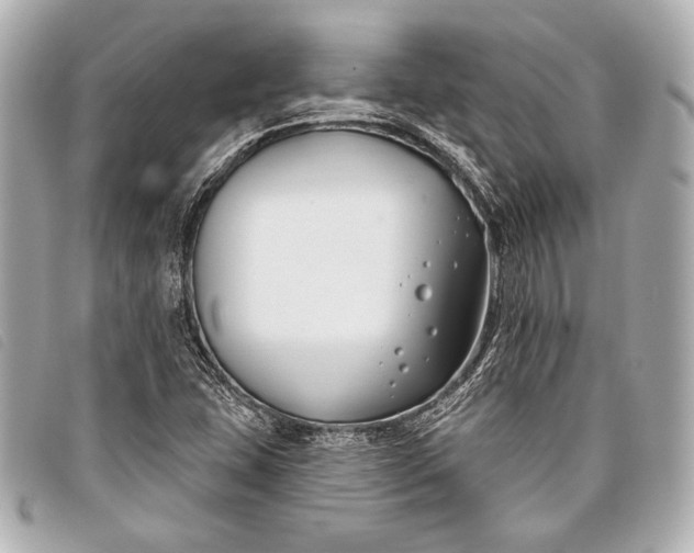 X0000098111407200804181439