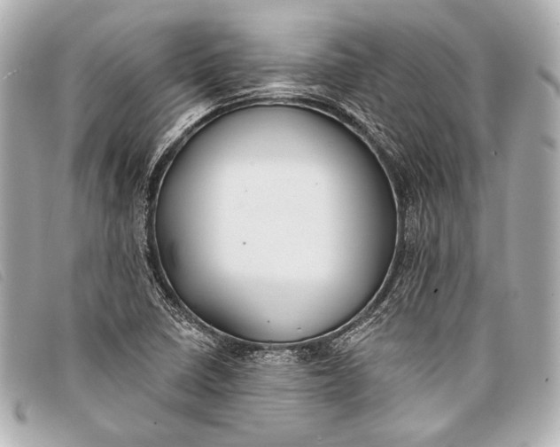 X0000098111410200804181439
