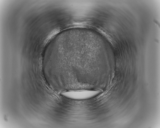 X0000098111411200804181439