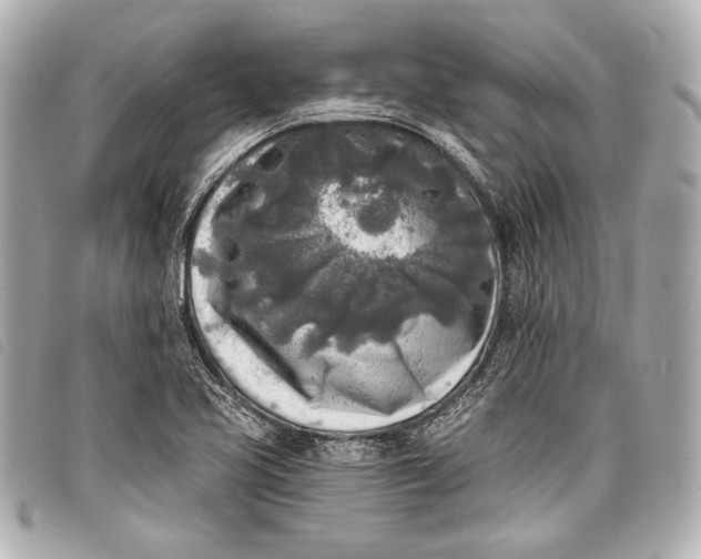 X0000098111413200804181439