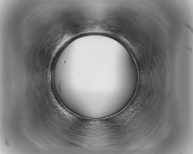 X0000098111416200804181439