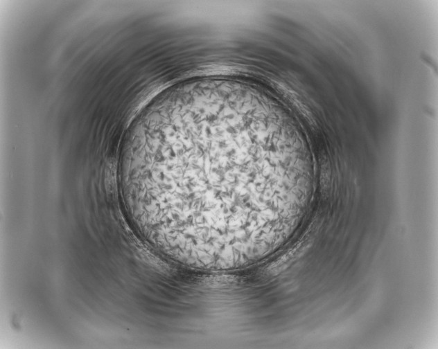 X0000098111417200804181439