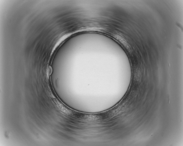 X0000098111420200804181440
