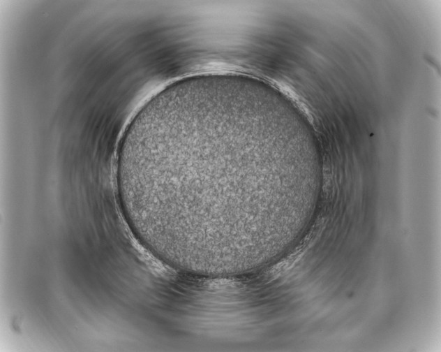 X0000098111421200804181440
