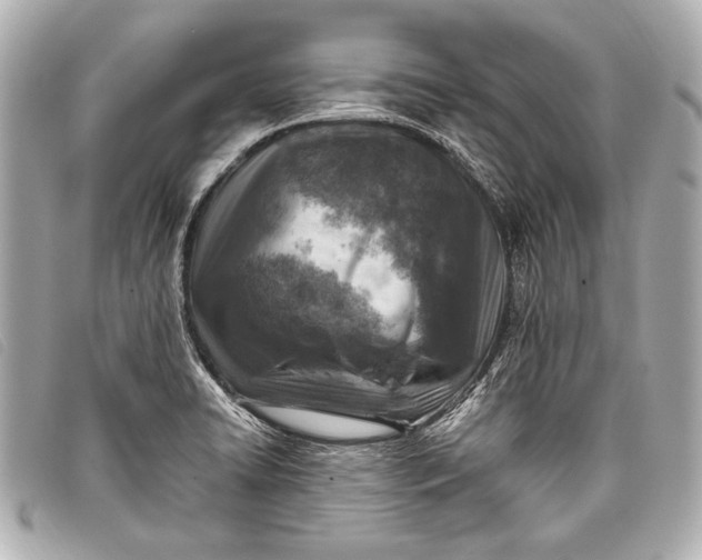 X0000098111422200804181440