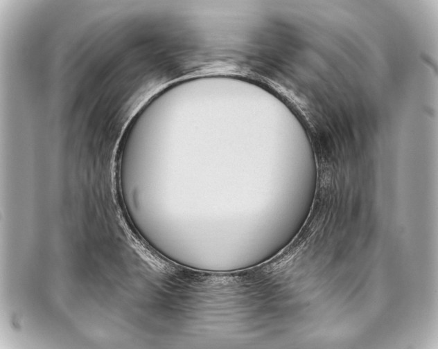 X0000098111423200804181440