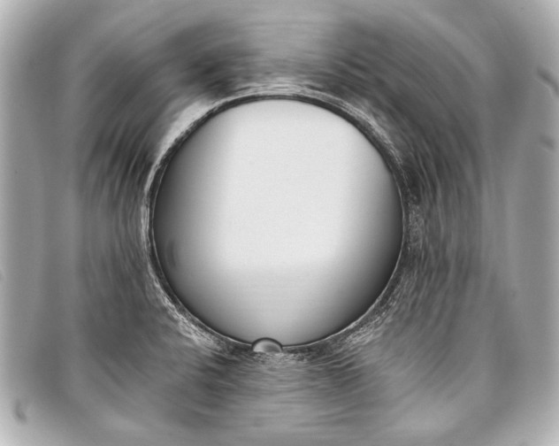 X0000098111424200804181440