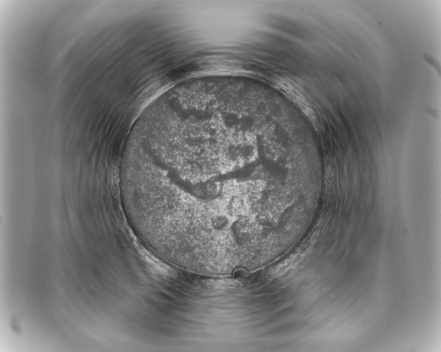 X0000098111425200804181440