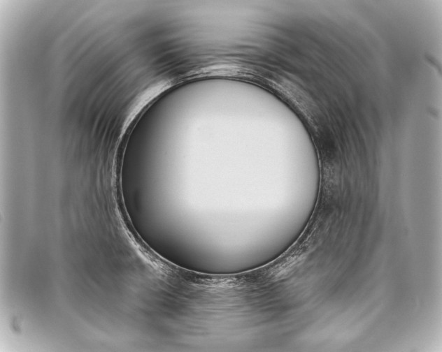 X0000098111426200804181440