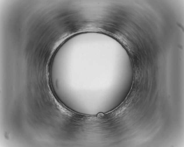 X0000098111430200804181440