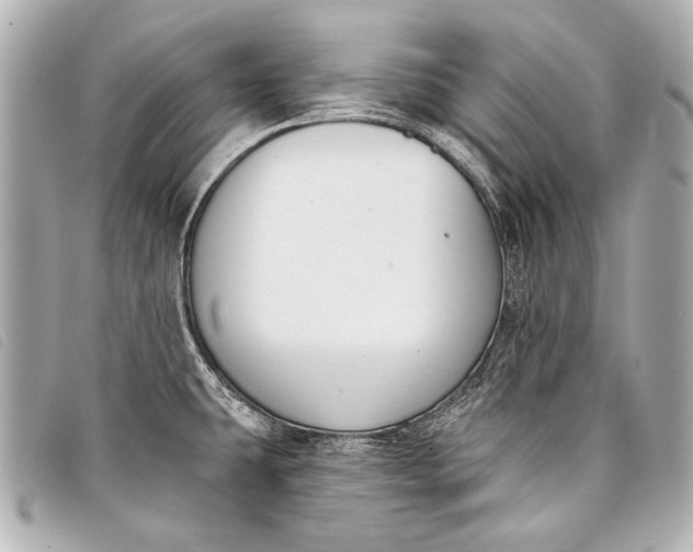 X0000098111431200804181440