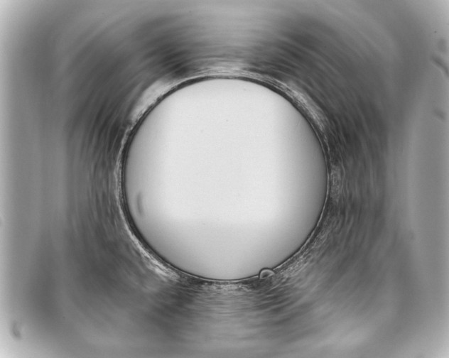 X0000098111432200804181440