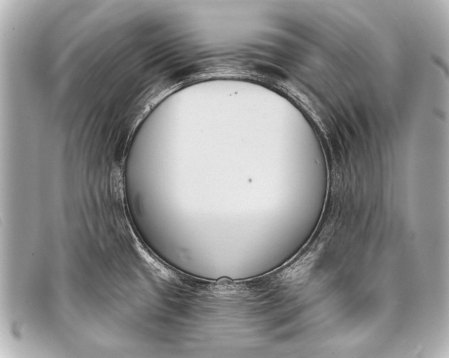 X0000098111433200804181440
