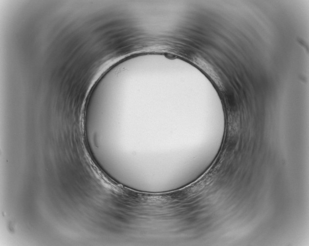 X0000098111436200804181440